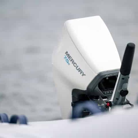 outboards for sale