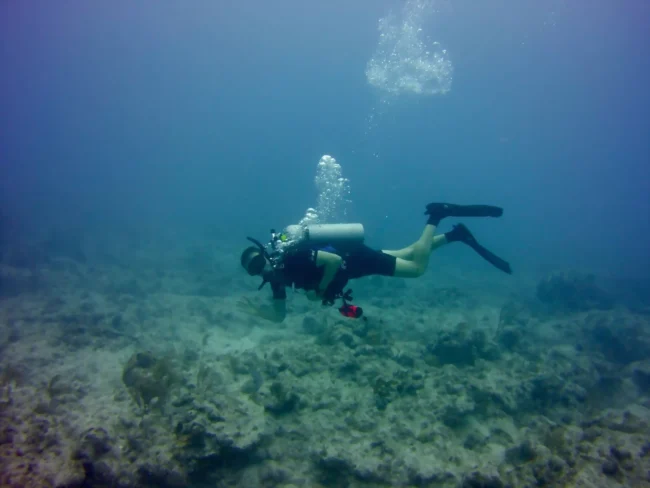 Mercury Marine Dealer, Stuart FL