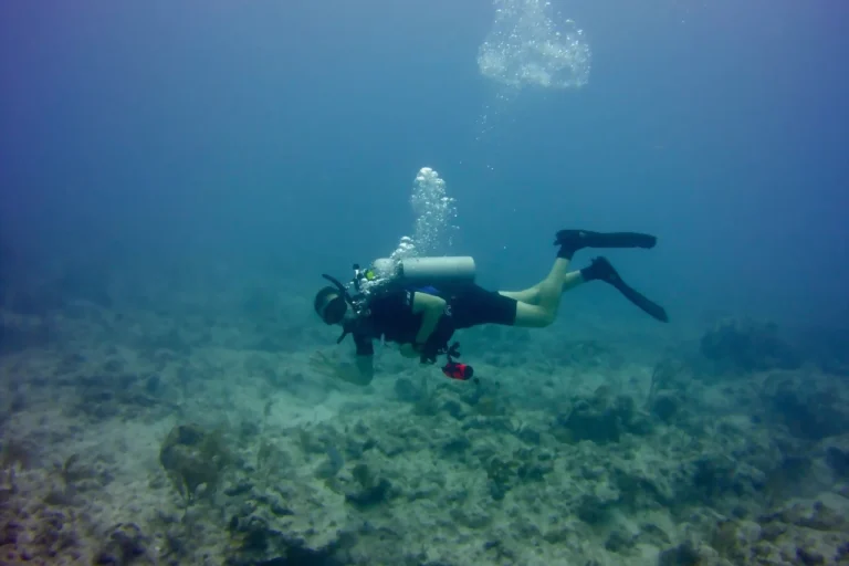 Mercury Marine Dealer, Stuart FL