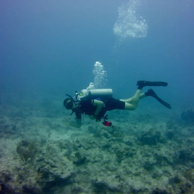 Mercury Marine Dealer, Stuart FL